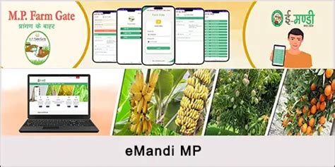 Emandi MP: मध्य प्रदेश के दैनिक मंडी भाव ऑनलाइन जानें, Eanugya.